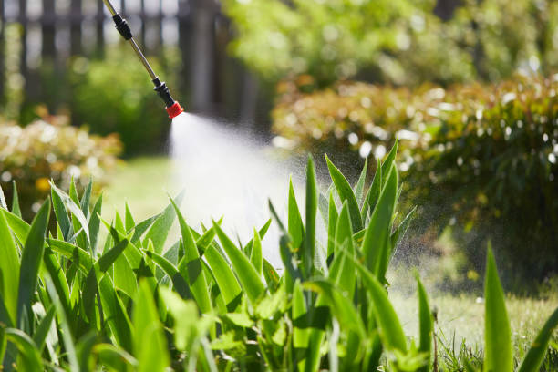 24/7 Emergency Cockroach Control experts in Vinita, OK