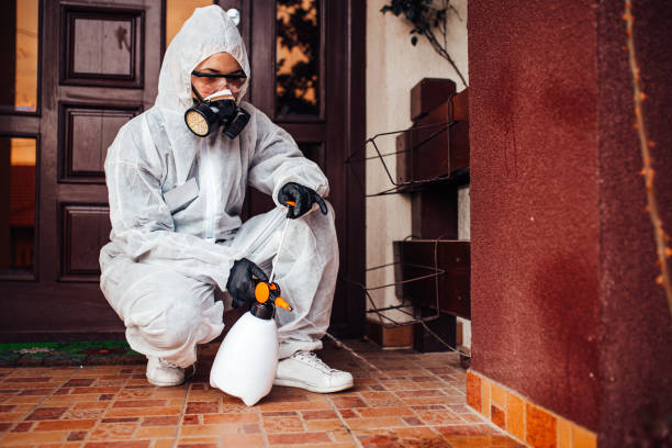 Reliable Cockroach Control contractor in Vinita, OK by Nex Pest Control